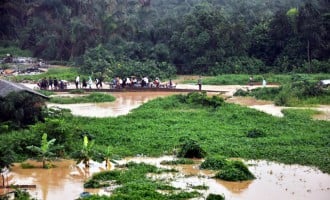 Flood destroys 120 houses, farms in Jigawa
