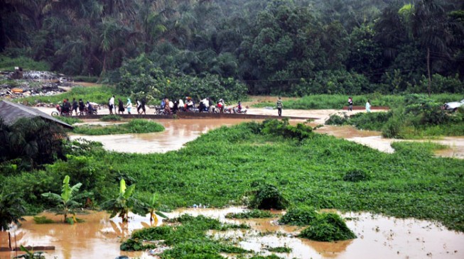 Flood destroys 120 houses, farms in Jigawa