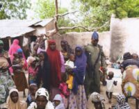 Troops ‘rescue’ 234 more women from Sambisa