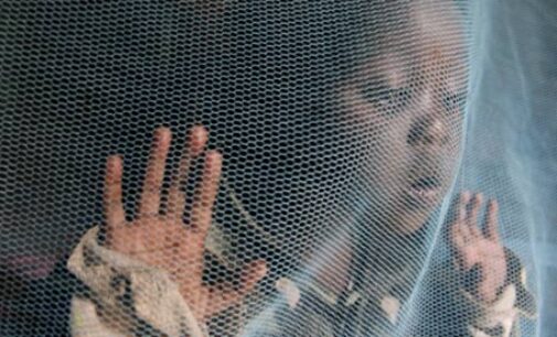 Mosquitoes in 18 states ‘develop resistance to insecticide nets’