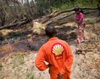 Fresh oil spillage ravages Bayelsa’s Kolo creek