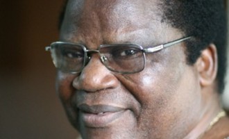 Tony Momoh: A professional in politics?