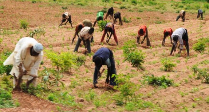 Ebonyi to partner with 50,000 farmers ‘to eradicate hunger’