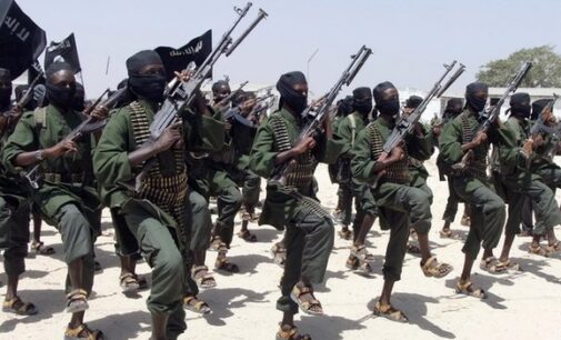Al-Shabab co-founder killed in air strike, says Somali government