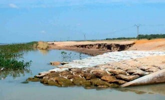 Chad basin oil prospect or agric prosperity?