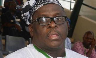 You can be arrested, appeal court tells Kashamu
