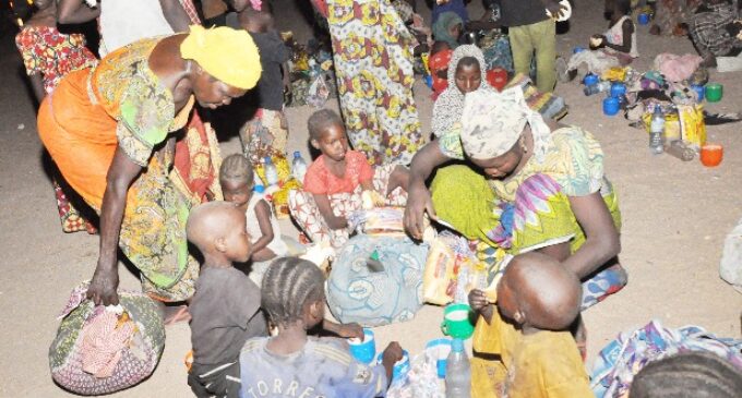 ‘214 girls rescued from Sambisa are pregnant’