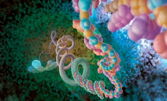 WHO: Two thirds of all cancer deaths occur in Africa, Asia
