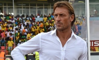 Renard quits Cote d’Ivoire job
