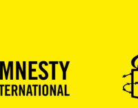 #EndSARS: Listen to Nigerians and probe police brutality, Amnesty tells FG