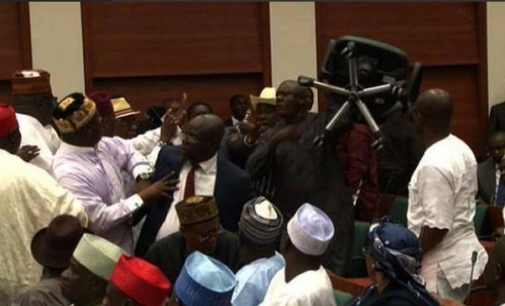 VIDEO: House of reps in free-for-all, mace seized