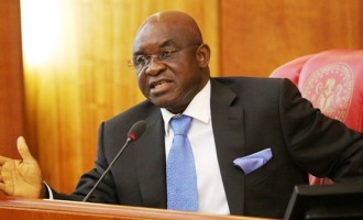 Mark: Under me, n’assembly sent unspent N7bn to Yar’Adua