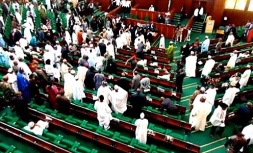 Reps move to pass NFF bill for ‘development’ of football