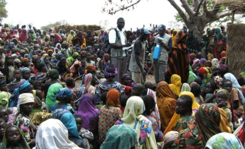 FG: 500,000 Nigerians awaiting repatriation from Chad, Niger, Cameroon
