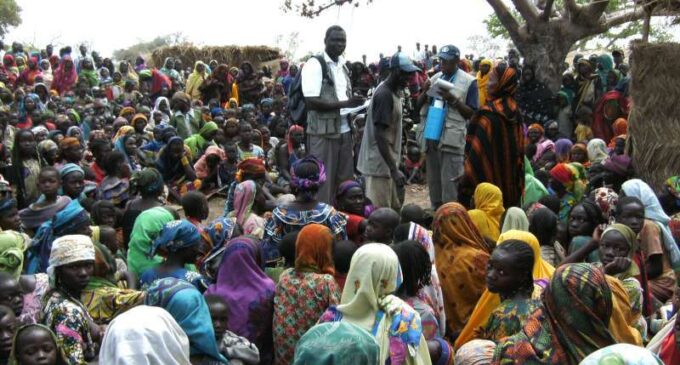 FG: 500,000 Nigerians awaiting repatriation from Chad, Niger, Cameroon