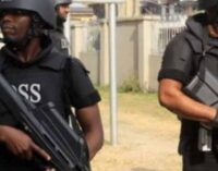 DSS: Some prominent persons plotting to destabilise the country