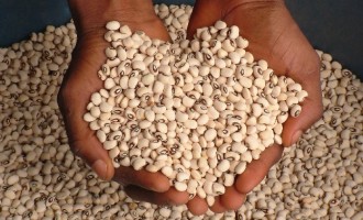 EU rejected 24 Nigerian products in 2016, reveals NAFDAC