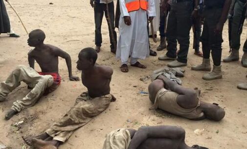 Villagers expose ‘Boko Haram insurgents’ in Borno