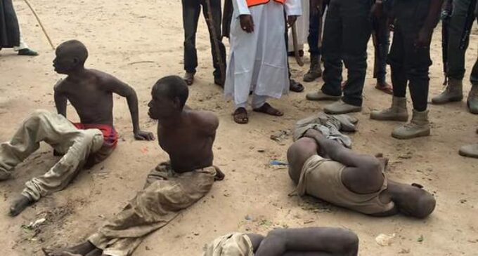 REVEALED: Boko Haram members are killing one another