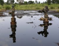 Oil spills ‘destroying’ livelihoods in Delta communities