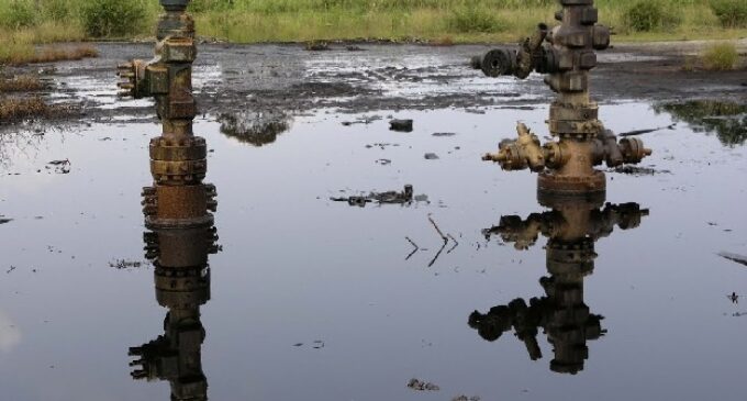 Oil spills ‘destroying’ livelihoods in Delta communities