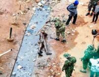 REMINDER: Soldiers who brutalised civilian in Mararaba haven’t been handed over to NHRC