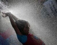 Heatwave hits Africa, kills 61 in Egypt