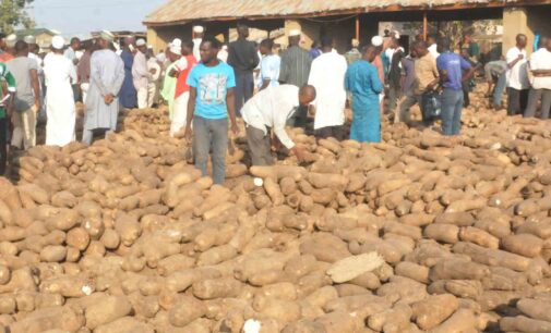 Nigeria to export 5,760 tonnes of yams in 2018