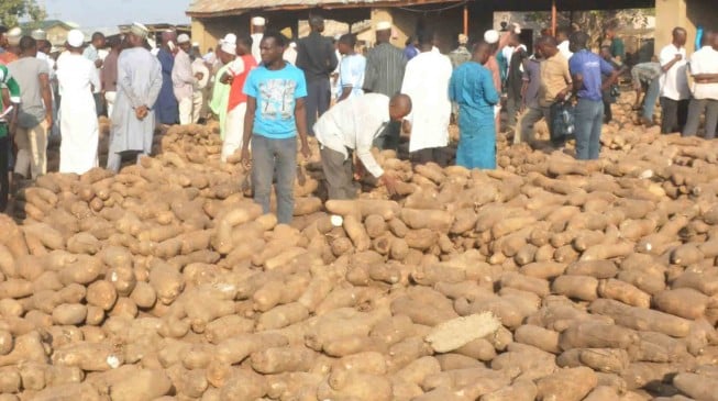 Nigeria to export 5,760 tonnes of yams in 2018