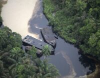 Oil exploration ‘destroying’ the ecosystem