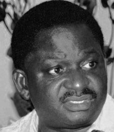 Femi Adesina