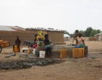 Boko Haram ‘poisons’ water sources in Borno