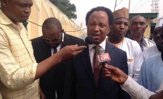 Shehu Sani’s aide ‘kidnapped in Kaduna’