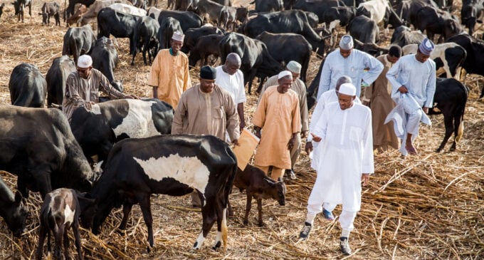 Mud houses, 5 horses, 270 cattle and N30m in the bank… Buhari’s assets revealed