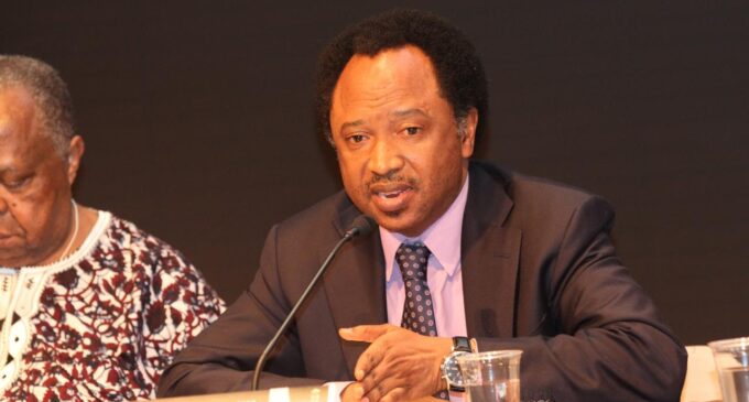 Sani lists 11 things Buhari must (not) do during vacation