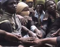 Boko Haram members ‘relocating from Sambisa to Taraba forest’
