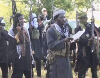ALERT: Boko Haram now recruits young entrepreneurs by giving them loans