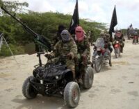 31 Boko Haram fighters ‘surrender’ in Niger Republic