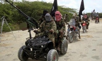 Buhari: Boko Haram insurgents have shot themselves in the foot