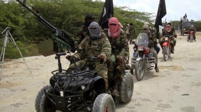 Boko Haram burns down Borno village, kills two