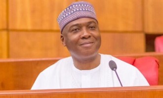 Amendment of Procurement Act: Using ‘made in Nigeria’ to jump-start the economy