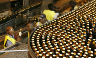 Guinness Nigeria: Hard drive back into profit