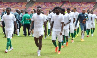 Oliseh: Only Nigeria is irreplaceable