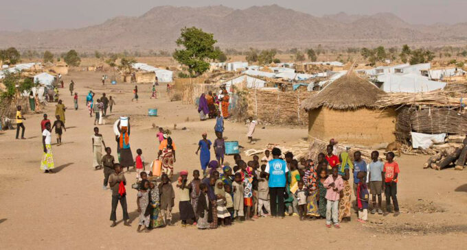 170 Nigerians who fled Boko Haram war evacuated from Cameroon