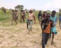 Troops ‘recover’ B’Haram’s horses and donkeys