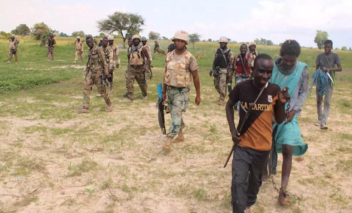 Troops rescue 20, clear more camps in Borno