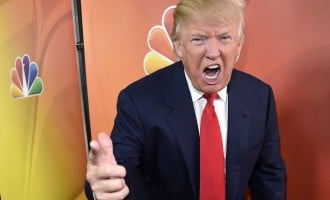 Operation ‘Donald Duck’
