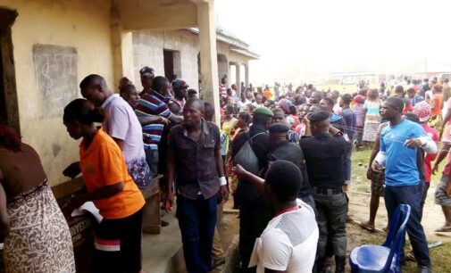 Lagos council poll: PDP, Accord Party win seven councillorship seats