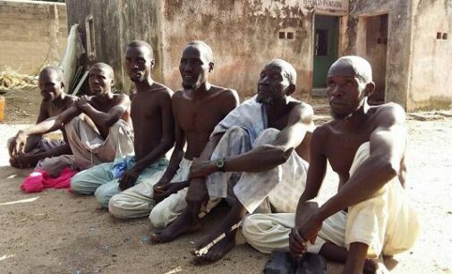 Lai: Boko Haram insurgents now sick, hungry