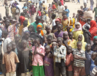 NEMA re-unites 200 children with parents in Borno
